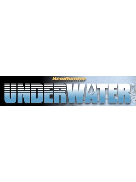 Detector Pro Headhunter Underwater