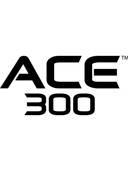 Garrett Ace 300