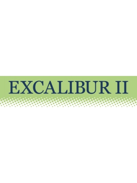 Minelab Excalibur II