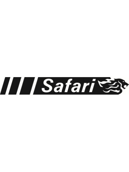 Minelab Safari